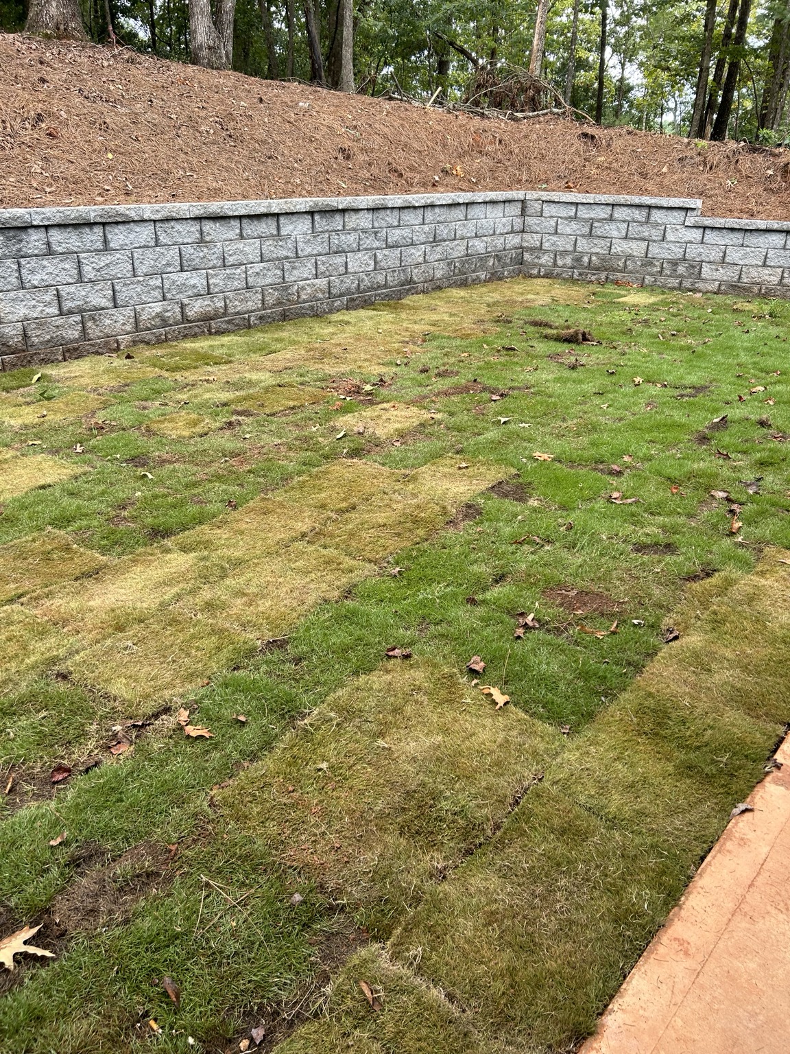 Curved wall and fresh sod
