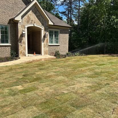 New sod lawn